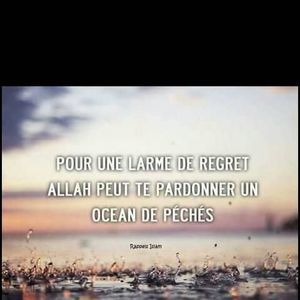 Meet your Posher, Halima